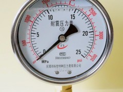 充油壓力表廠家-充油壓力表規格