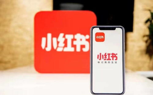 杭州噫融網(wǎng)絡(luò) 以專業(yè)運(yùn)營(yíng)驅(qū)動(dòng)小紅書(shū)種草推廣，助力計(jì)算機(jī)軟硬件品牌搶占市場(chǎng)先機(jī)